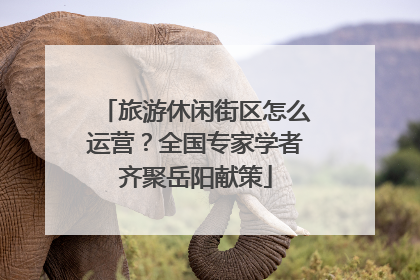 旅游休闲街区怎么运营？全国专家学者齐聚岳阳献策