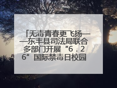 无毒青春更飞扬——东丰县司法局联合多部门开展“6．26”国际禁毒日校园宣讲活动