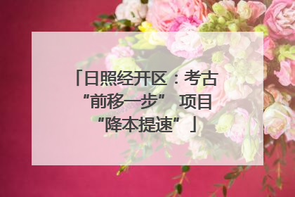 日照经开区：考古“前移一步” 项目“降本提速”