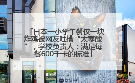 日本一小学午餐仅一块炸鸡被网友吐槽“太寒酸”，学校负责人：满足每餐600千卡的标准