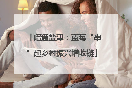 昭通盐津：蓝莓“串”起乡村振兴增收链