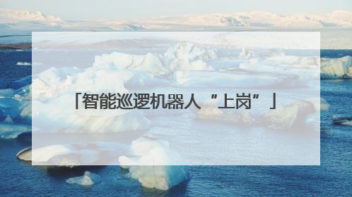 智能巡逻机器人“上岗”