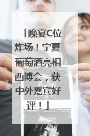 晚宴C位炸场！宁夏葡萄酒亮相西博会，获中外嘉宾好评！