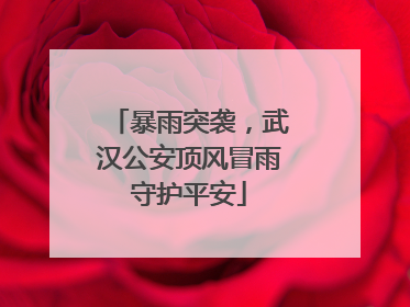 暴雨突袭，武汉公安顶风冒雨守护平安