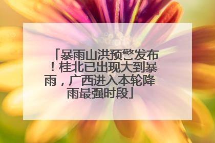 暴雨山洪预警发布！桂北已出现大到暴雨，广西进入本轮降雨最强时段
