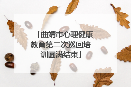 曲靖市心理健康教育第二次巡回培训圆满结束