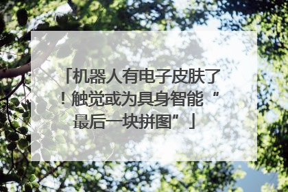 机器人有电子皮肤了！触觉或为具身智能“最后一块拼图”
