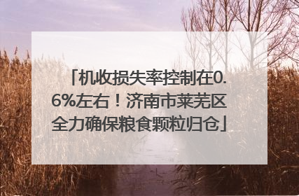 机收损失率控制在0.6%左右！济南市莱芜区全力确保粮食颗粒归仓