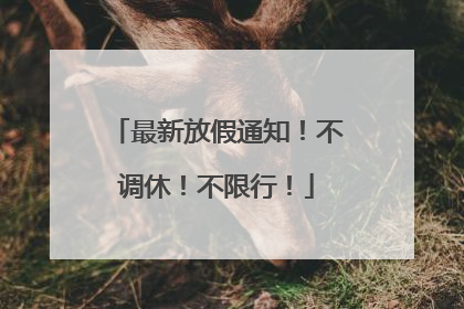 最新放假通知！不调休！不限行！