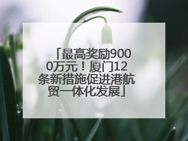 最高奖励9000万元！厦门12条新措施促进港航贸一体化发展