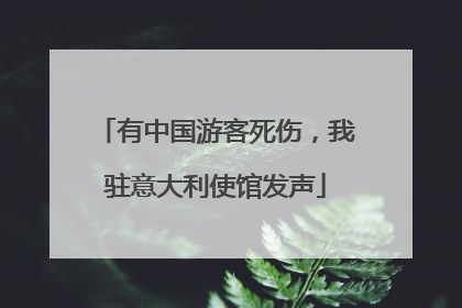 有中国游客死伤，我驻意大利使馆发声