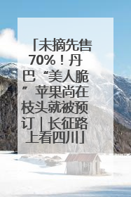 未摘先售70%！丹巴“美人脆”苹果尚在枝头就被预订｜长征路上看四川