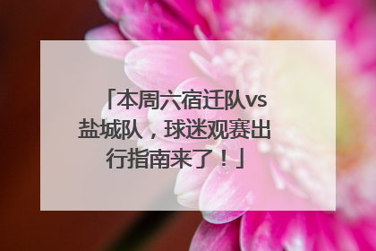 本周六宿迁队vs盐城队，球迷观赛出行指南来了！