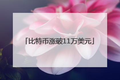 比特币涨破11万美元