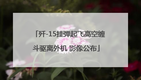 歼-15挂弹起飞高空缠斗驱离外机 影像公布