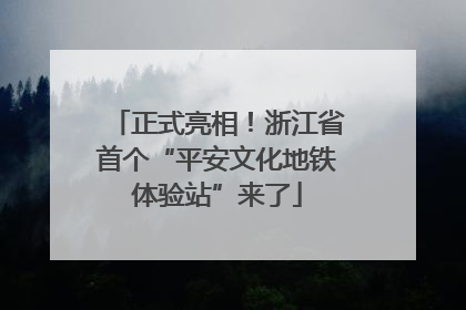 正式亮相！浙江省首个“平安文化地铁体验站”来了