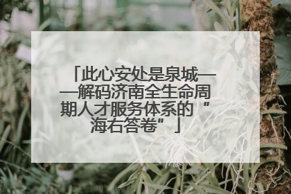 此心安处是泉城——解码济南全生命周期人才服务体系的“海右答卷”