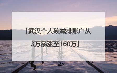 武汉个人碳减排账户从3万暴涨至160万