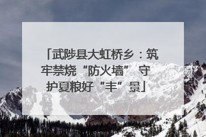 武陟县大虹桥乡：筑牢禁烧“防火墙” 守护夏粮好“丰”景