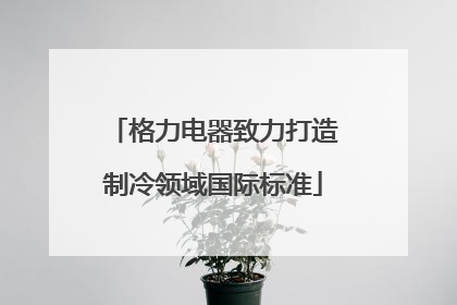 格力电器致力打造制冷领域国际标准