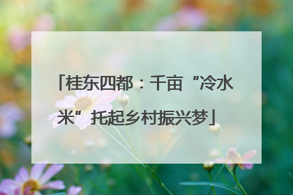 桂东四都：千亩“冷水米”托起乡村振兴梦