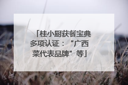 桂小厨获餐宝典多项认证：“广西菜代表品牌”等