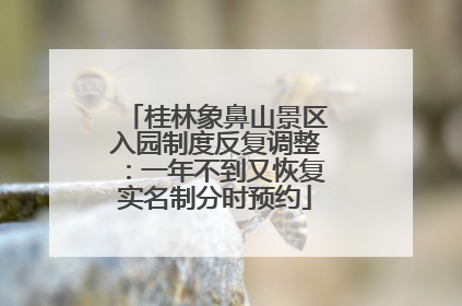 桂林象鼻山景区入园制度反复调整：一年不到又恢复实名制分时预约