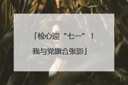 检心迎“七一”！我与党旗合张影
