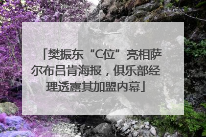 樊振东“C位”亮相萨尔布吕肯海报，俱乐部经理透露其加盟内幕