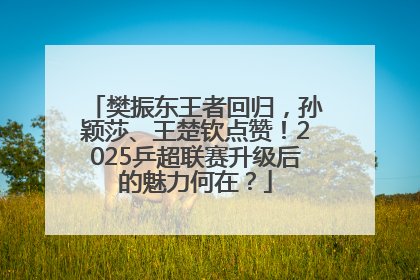 樊振东王者回归，孙颖莎、王楚钦点赞！2025乒超联赛升级后的魅力何在？