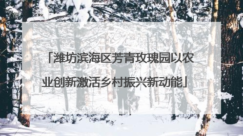 潍坊滨海区芳青玫瑰园以农业创新激活乡村振兴新动能
