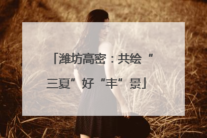 潍坊高密：共绘“三夏”好“丰”景
