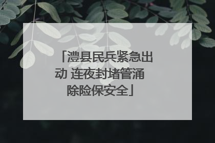 澧县民兵紧急出动 连夜封堵管涌除险保安全