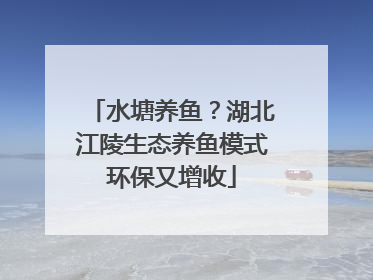 水塘养鱼？湖北江陵生态养鱼模式环保又增收