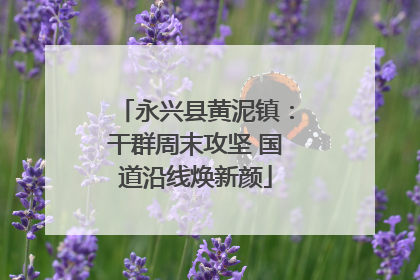 永兴县黄泥镇：干群周末攻坚 国道沿线焕新颜