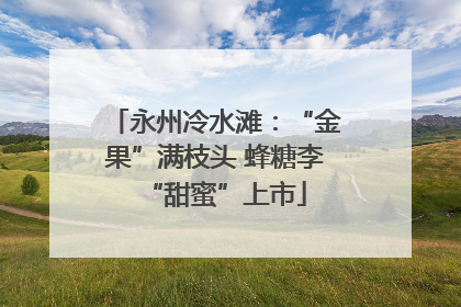 永州冷水滩：“金果”满枝头 蜂糖李“甜蜜”上市