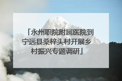 永州职院附属医院到宁远县桑梓头村开展乡村振兴专题调研