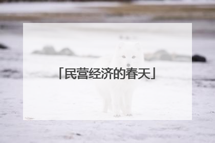 民营经济的春天