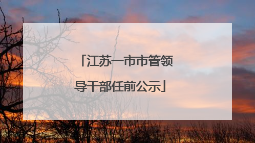 江苏一市市管领导干部任前公示