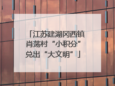 江苏建湖冈西镇肖荡村“小积分”兑出“大文明”