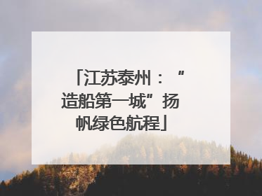 江苏泰州：“造船第一城”扬帆绿色航程