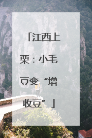 江西上栗：小毛豆变“增收豆”