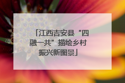 江西吉安县“四融一共”描绘乡村振兴新图景