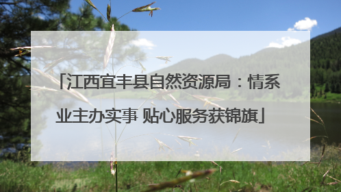 江西宜丰县自然资源局：情系业主办实事 贴心服务获锦旗