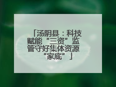 汤阴县：科技赋能“三资”监管守好集体资源“家底”