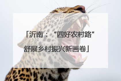 沂南：“四好农村路”舒展乡村振兴新画卷