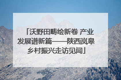 沃野田畴绘新卷 产业发展谱新篇——陕西岚皋乡村振兴走访见闻