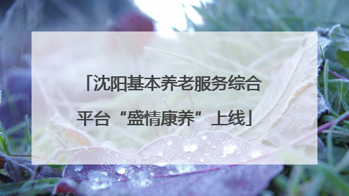 沈阳基本养老服务综合平台“盛情康养”上线