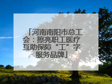 河南南阳市总工会：擦亮职工医疗互助保障“工”字服务品牌