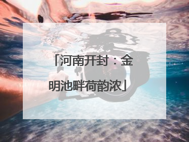 河南开封：金明池畔荷韵浓